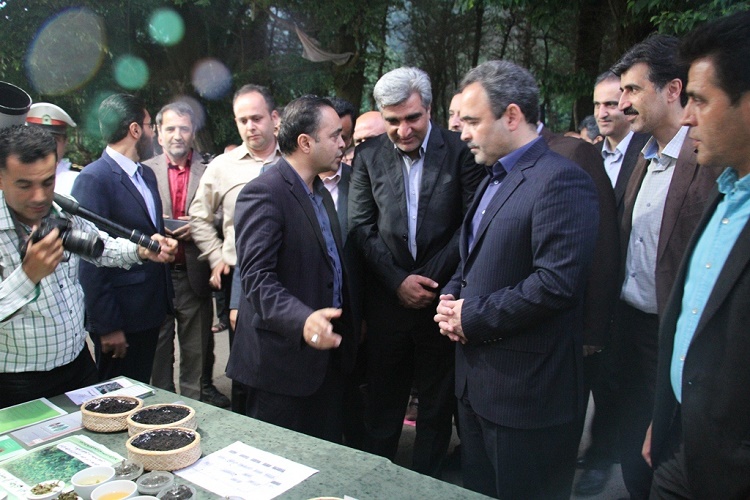 چای بخش...